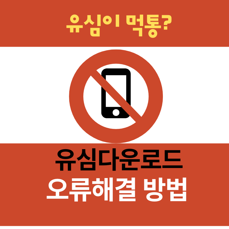 유심에 관한 제목 이미지