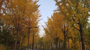 우장산