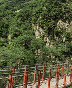 원주 소금산 케이블카 요금