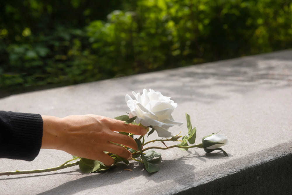 자살 뉴스에 마음이 무겁다면? 감정 관리법 & 베르테르 효과 예방