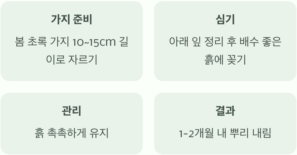 '꺾꽂이'로 즐기는 나눔의 기쁨