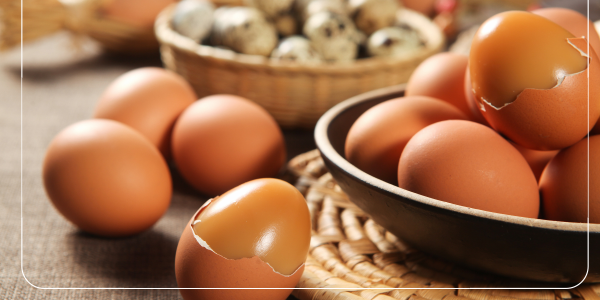 철분 부족 혈액량 부족을 위한 필수 영양소89