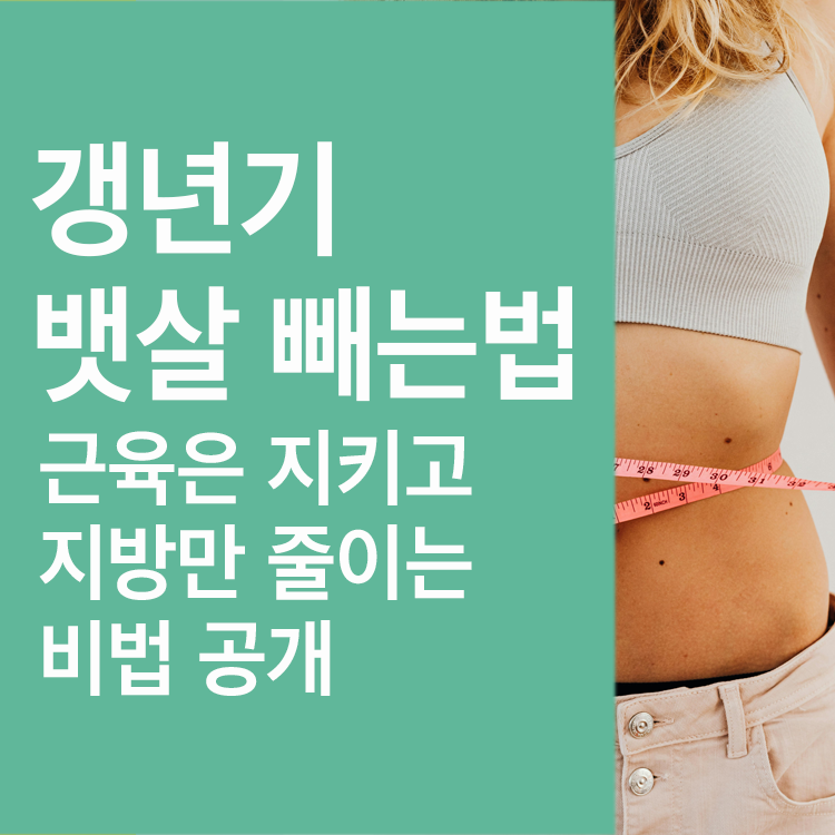 갱년기 뱃살빼는 비법