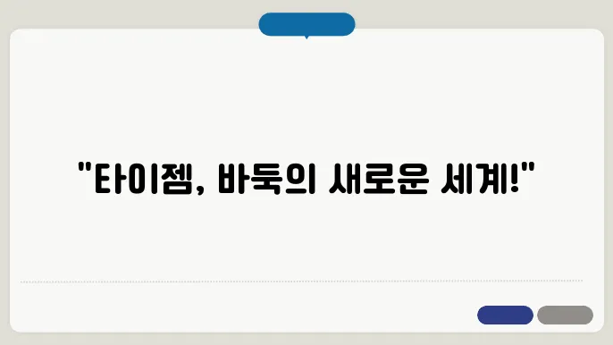 타이젬 뱅1 홈페이지 (www.tygem.com)