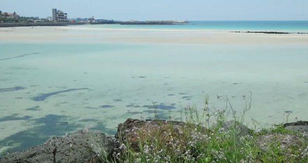 봄에 떠나기 좋은 여행지