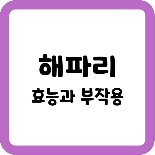 해파리의 효능과 부작용