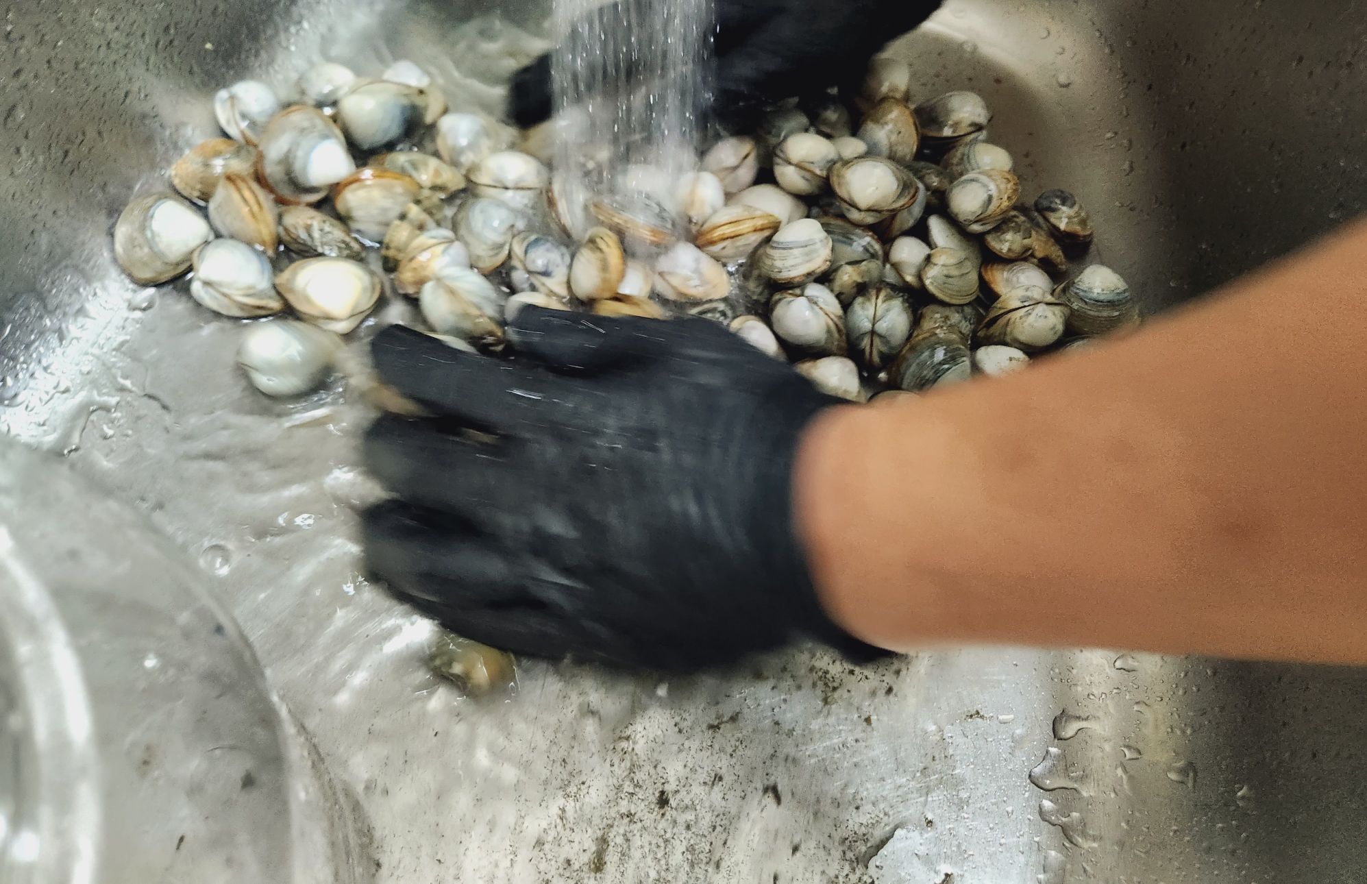 조개 바지락 꼬막 해감하는 방법 해감시간&amp;#44; 조개 요리 모음