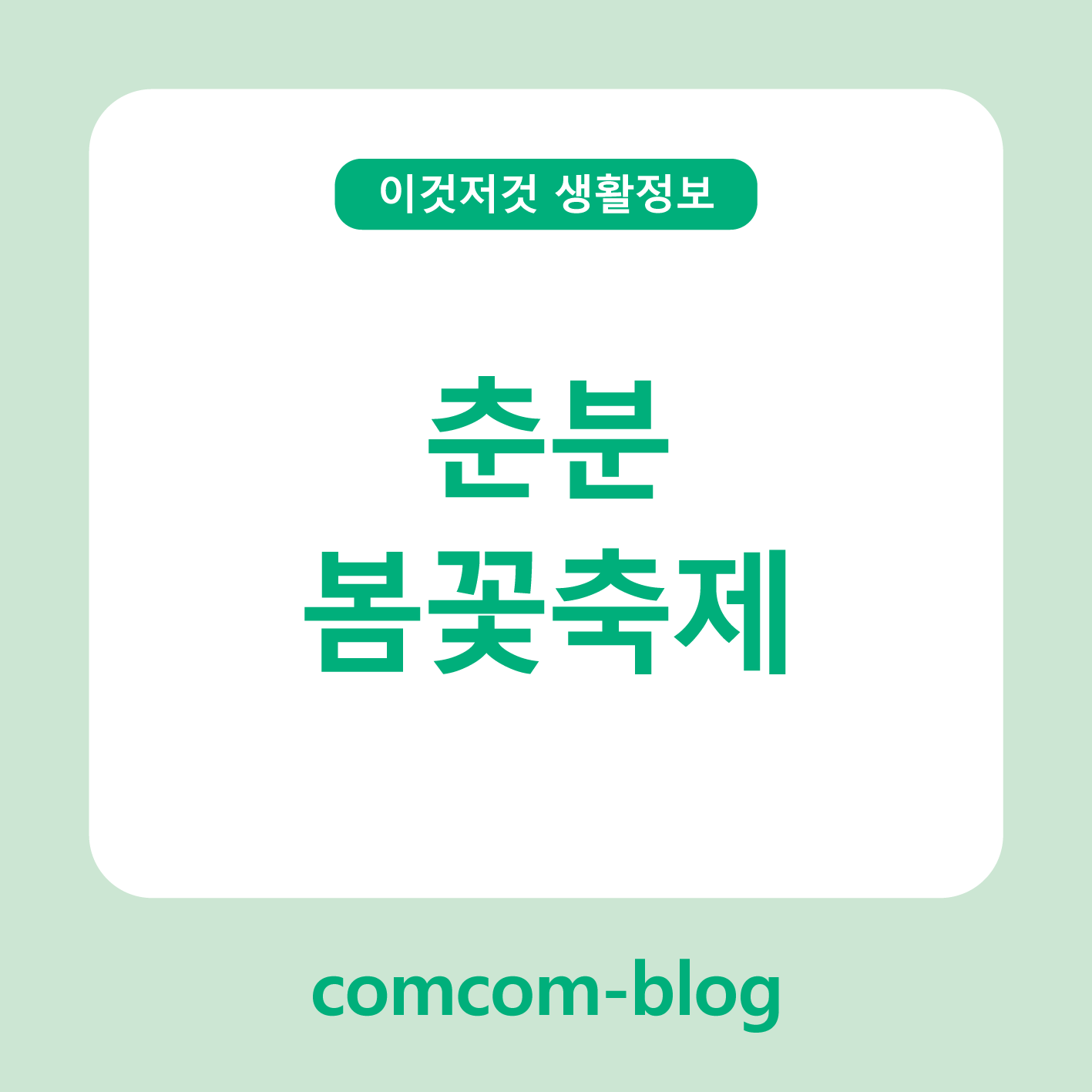 춘분과 함께하는 봄꽃 축제, 만개한 계절을 즐기다