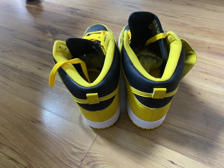 나이키 덩크하이 SP 검노(바시티 메이즈)