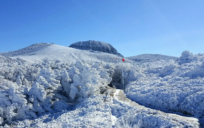 영실 어리목 코스