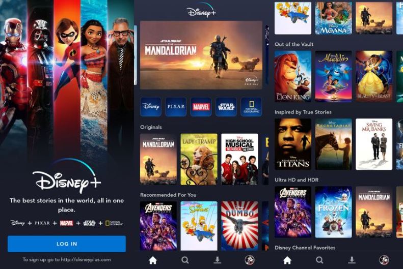 디즈니 플러스 영화 드라마 정리