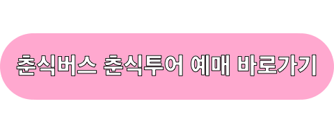 춘식투어_춘식버스_카카오예약하기