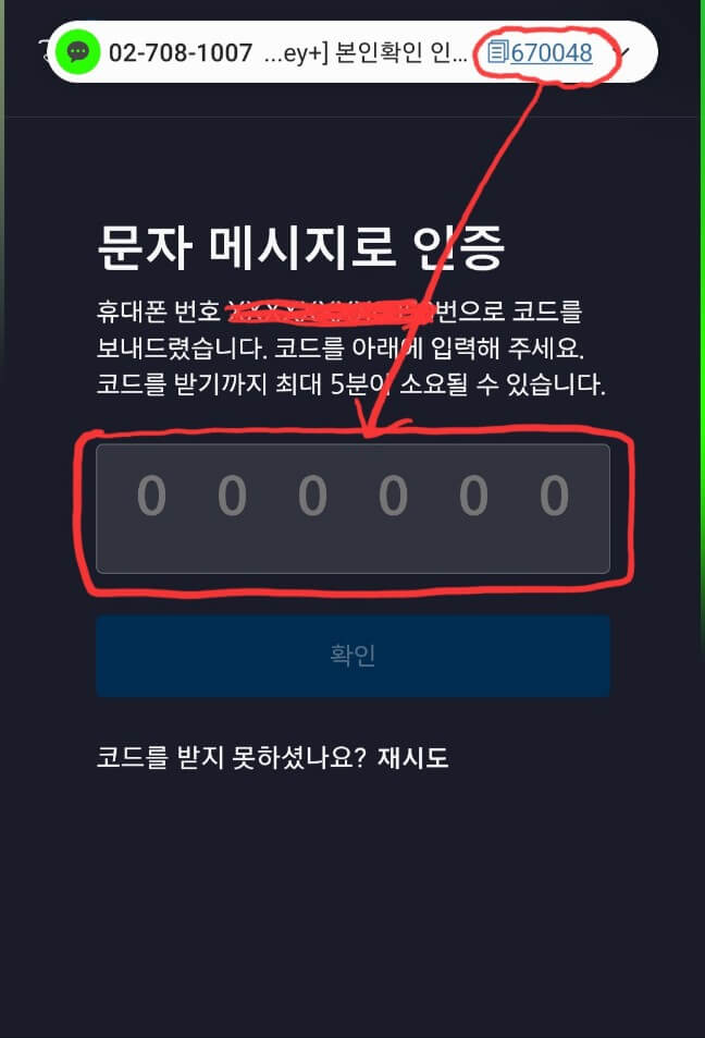 디즈니플러스 성인인증