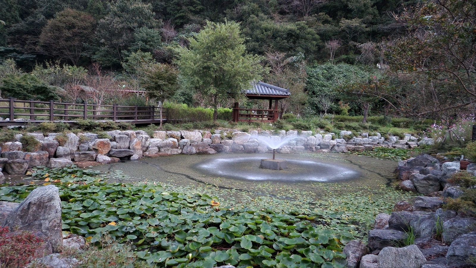 세량지 호숫가