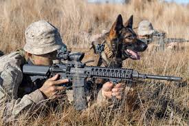 경기도 입영지원금