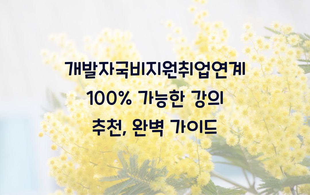 개발자국비지원취업연계 100% 가능한 강의 추천