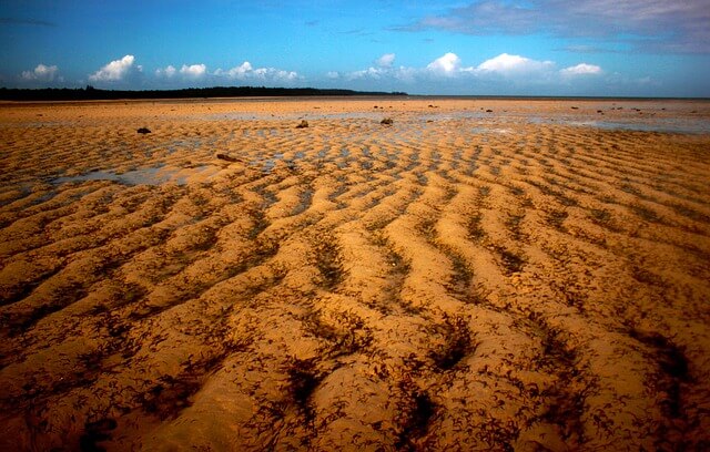 챗지피티 사주 프롬프트