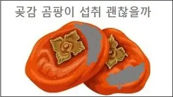 곶감 곰팡이 섭취 괜찮을까