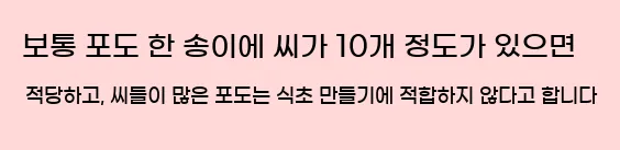 보통 포도 한 송이에 씨가 10개 정도가 있으면 적당하고, 씨들이 많은 포도는 식초 만들기에 적합하지 않다고 합니다