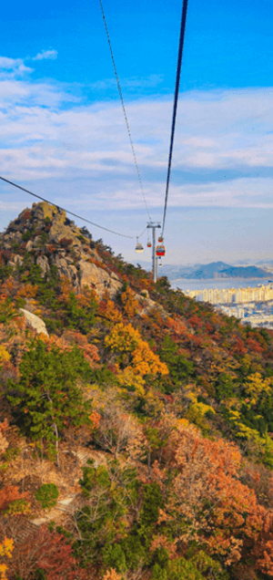 목포 해상케이블카 요금