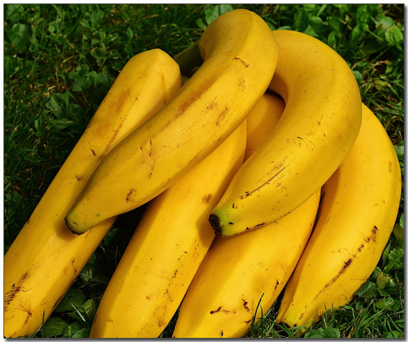 ๋ฐ๋๋ ํ์ก์ด