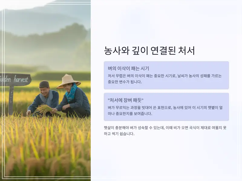 24절기-처서-7_