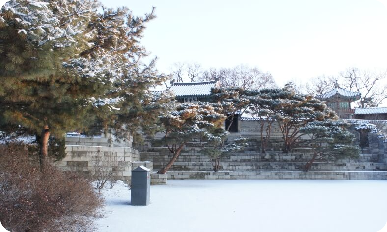 창덕궁 후원 예약하기-창덕궁 후원 입장방법 및 안내사항
