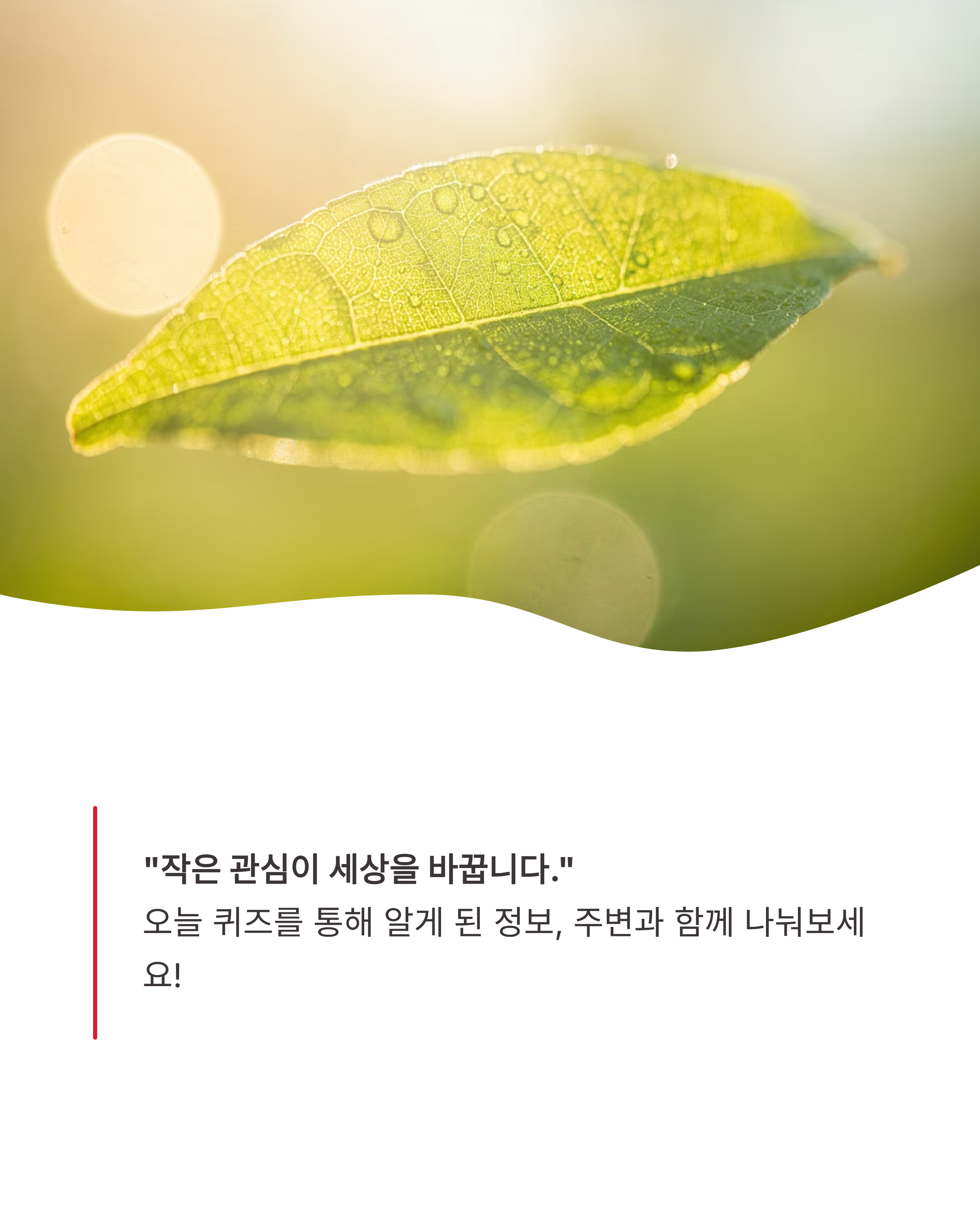 6월 16일 기후동행(기후행동) 퀴즈 정답 !! 무더위 쉼터의 진실은?