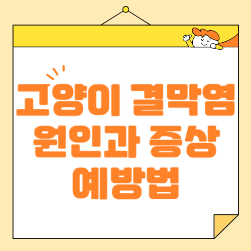 고양이 결막염