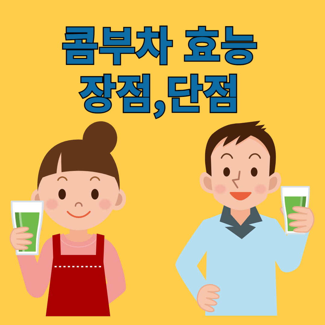 콤부차 효능