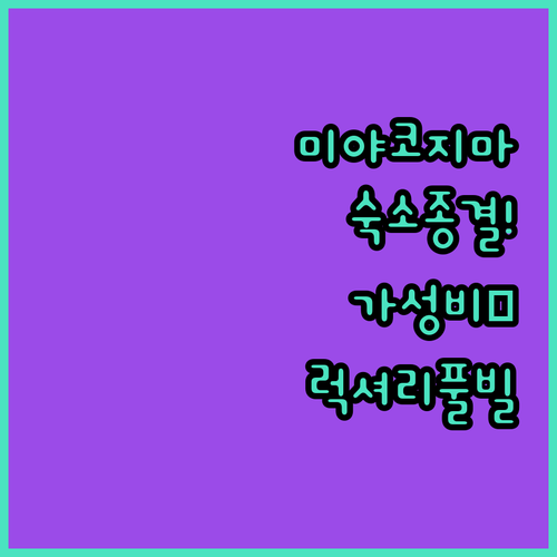 미야코지마 자유여행 가성비 호텔부터 ..
