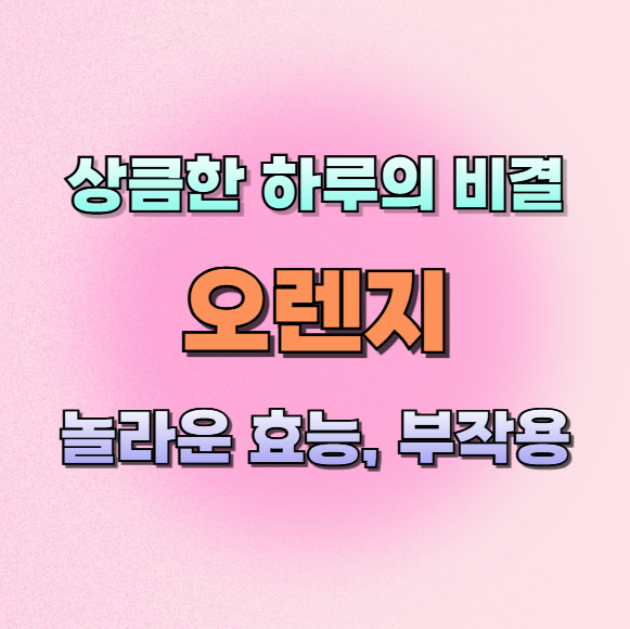 오렌지효능