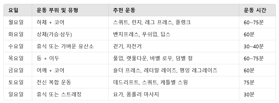 추천 운동 루틴