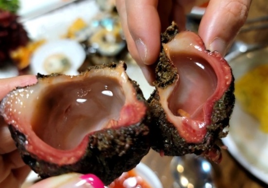 백반기행-동해자연산해산물-돌멍게