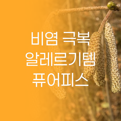 비염 & 먼지 알레르기 극복템 퓨어피