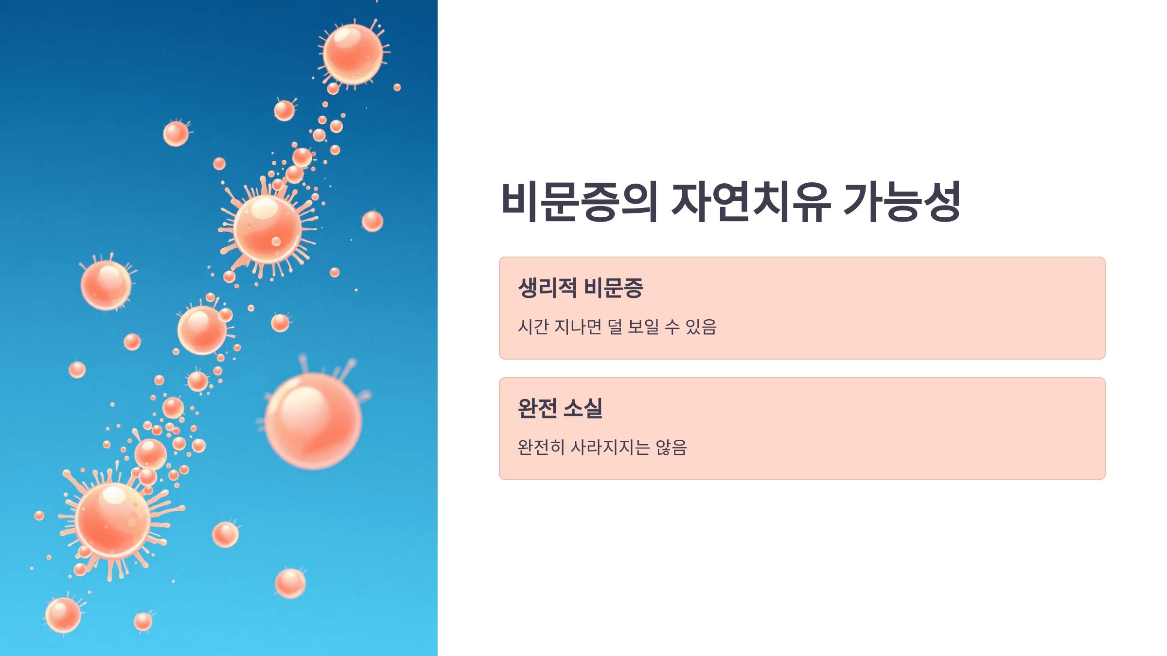 비문증과 관련된 사진입니다.
