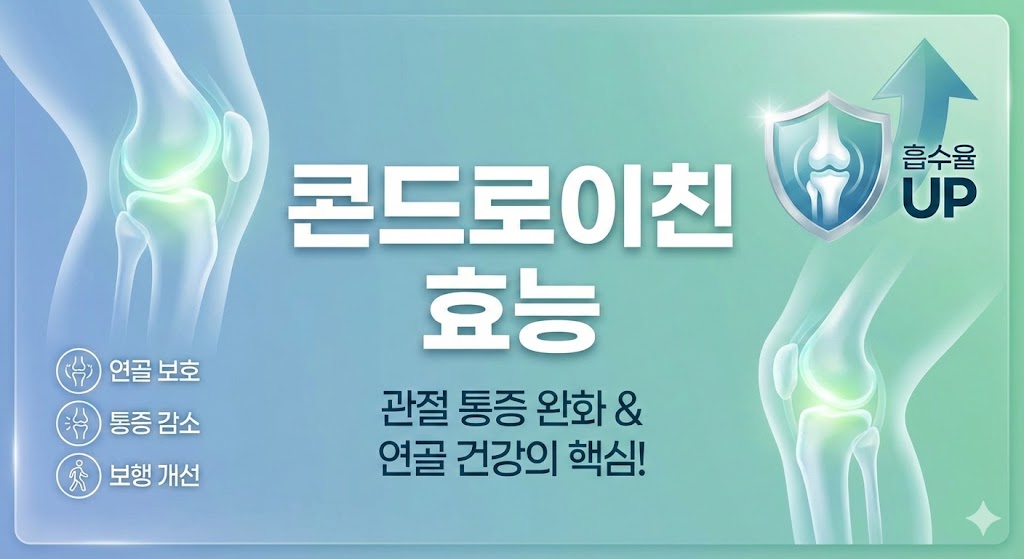 콘드로이친 효능
