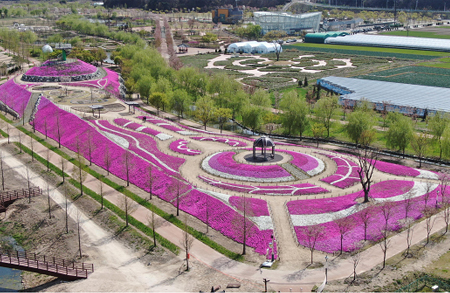 [5월 축제]창포원❘2025 거창에 온 봄 축제, 아리미아꽃축제,거창한 산양삼 축제