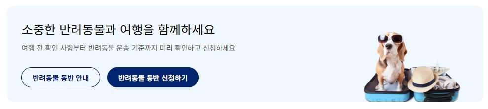대한항공 반려동물 동반 좌석 신청방법