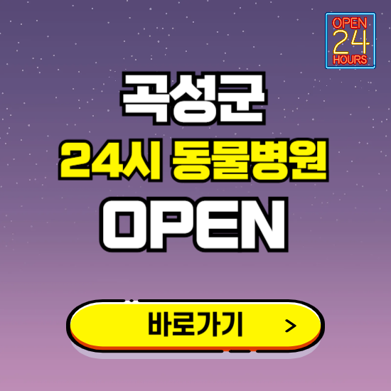 곡성군 24시 동물병원 진료하는 곳 ❘ 설날 휴일 야간 심야 문여는곳 찾기 ❘ 응급진료