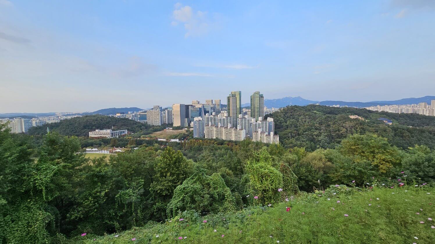 하늘공원#3