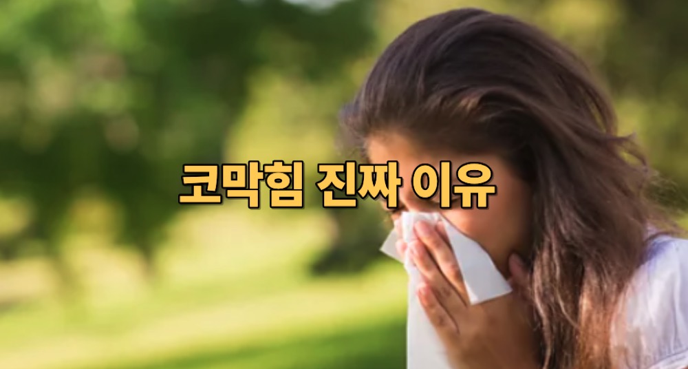 비염 원인