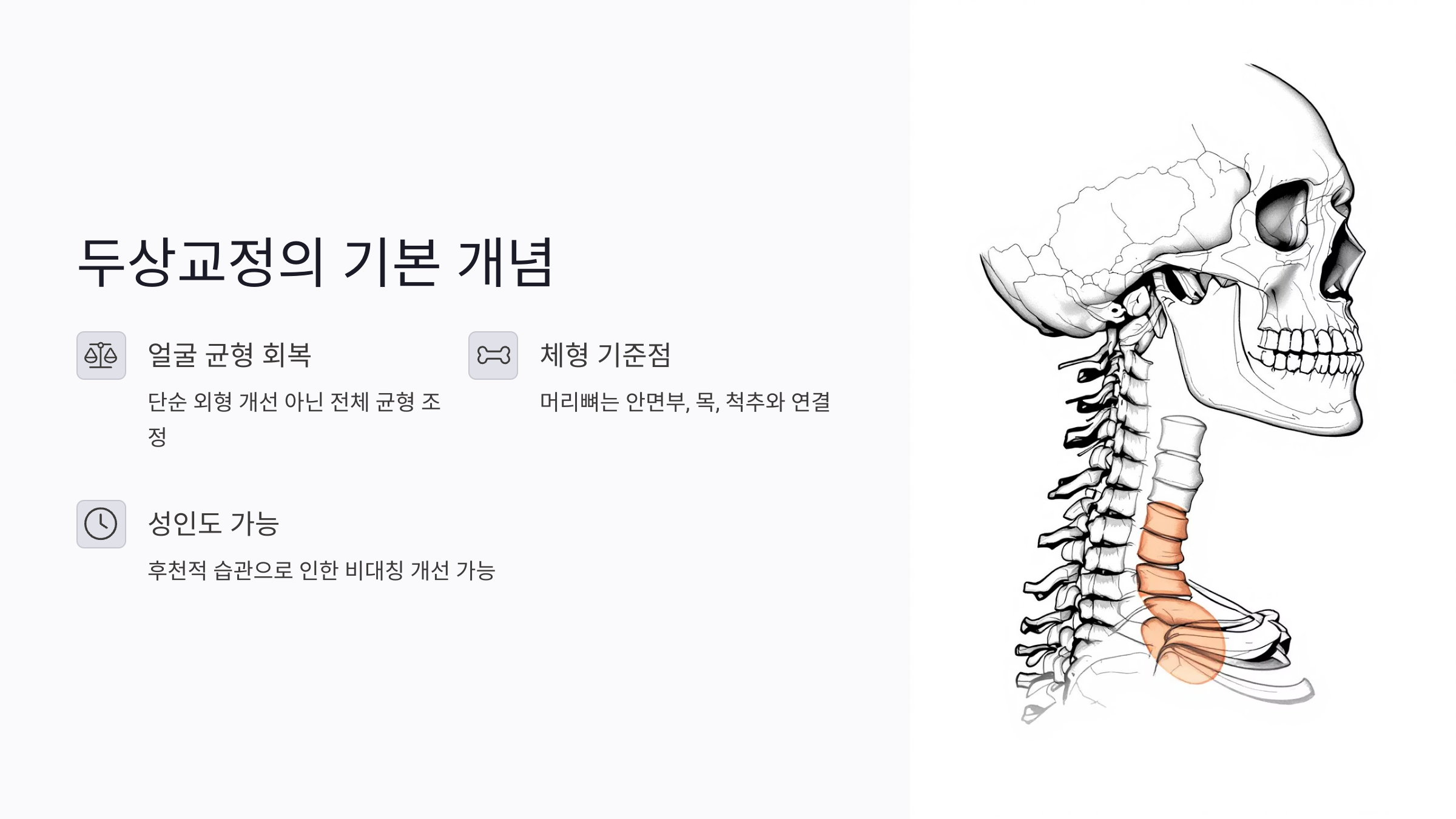 두상교정이란? 얼굴 비대칭과 기능 불균형의 원인부터 점검