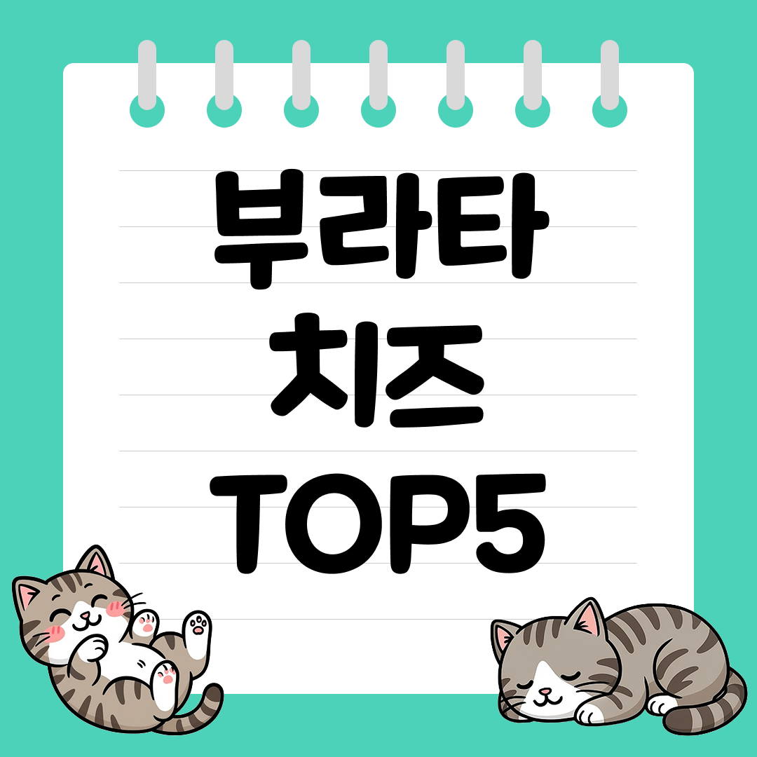 크리미한 풍미의 정점! 고급 이탈리안 부라타 치즈 추천 순위 TOP5