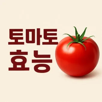 토마토 효능 항산화 작용과 피부건강 효과 정리_5