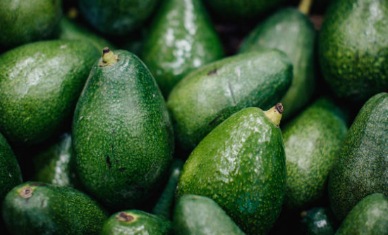 전립선에 좋은 아보카도