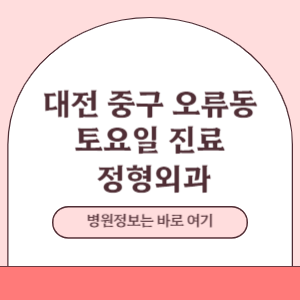 대전 중구 오류동 토요일 정형외과 진료 병원