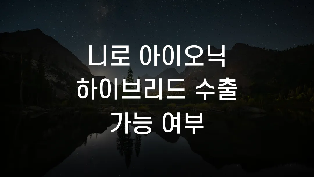 니로 아이오닉 하이브리드 수출 가능 여부