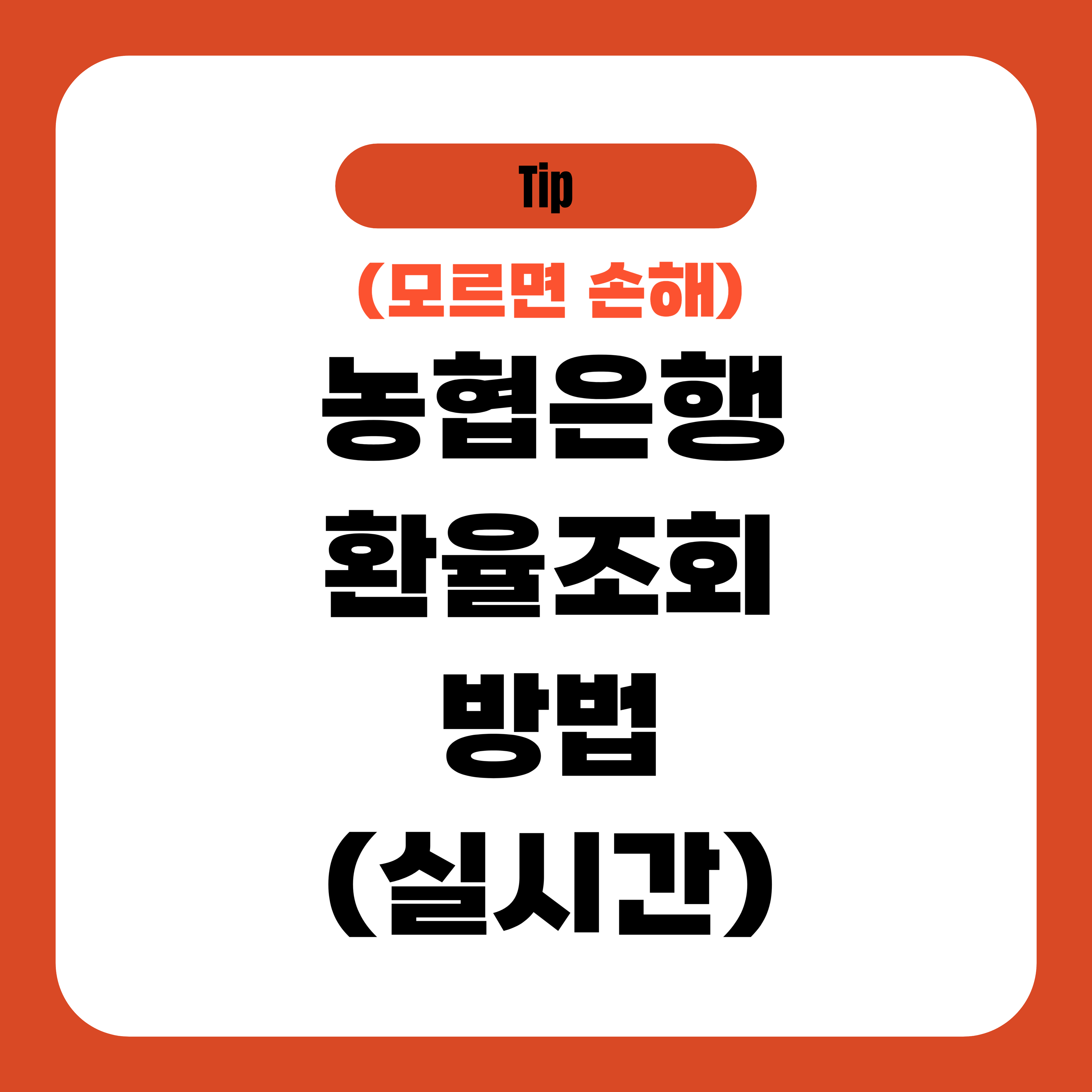 농협은행 환율조회 방법 (실시간)