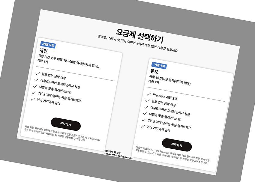 Spotify 요금제 선택 옵션 사진